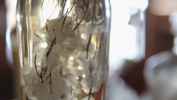 不同香草的玻璃瓶水晶清澈伏特加美酒酒水 — 图库视频影像