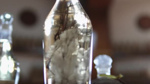 Glass Bottle Different Herbs Crystal Clear Vodka Beautiful Serving Alcoholic — Stock Video