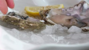 İstiridye. Şef istiridyeli bir yemek hazırlıyor. Yüksek kalite 4k görüntü