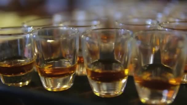 Linda Porção Bebidas Alcoólicas Adega Copos Degustação Vinhos Aperitivos — Vídeo de Stock