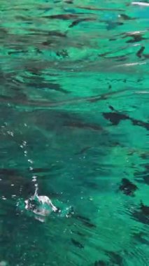 Korfu adası yakınlarındaki tekne turu temiz su dağlarının derinliklerinde doğal bahar mevsiminde kayıkçıları geçiyor. turistler ve gezginler