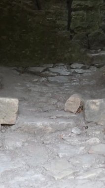 Arnavutluk 'un Butrint Ulusal Parkı' ndaki Büyük Bazilika kalıntıları. Butrint Life 'daki Triconch Sarayı tarihi ortaçağ Venedik Kulesi' nin sarayındaki tarihi bir Roma evinin ölümü. Yüksek kalite