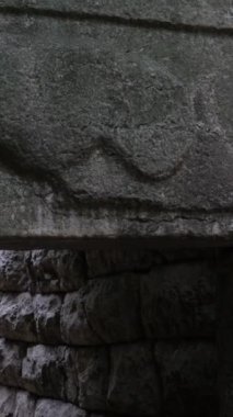 Arnavutluk 'un Butrint Ulusal Parkı' ndaki Büyük Bazilika kalıntıları. Butrint Life 'daki Triconch Sarayı tarihi ortaçağ Venedik Kulesi' nin sarayındaki tarihi bir Roma evinin ölümü. Yüksek kalite