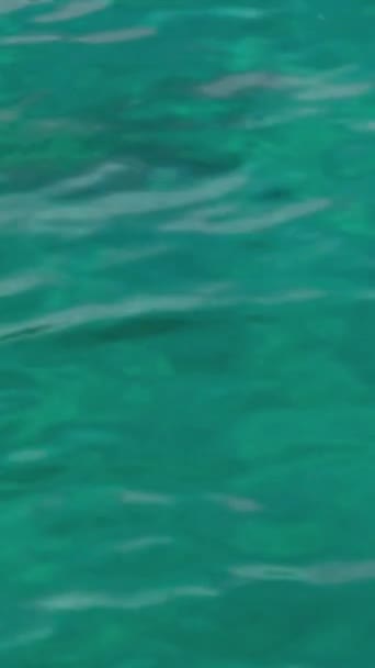 Boottocht Buurt Van Corfu Eiland Attracties Diep Schoon Water Bergen — Stockvideo