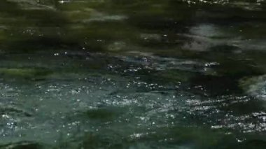 Mavi Göz 'ün 50 metre derinliği veya Arnavutluk' un güneyindeki dağlarda görülen doğal bir fenomen olan Surri i Kalter. Yüksek kalite 4k görüntü