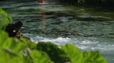 Mavi Göz 'ün 50 metre derinliği veya Arnavutluk' un güneyindeki dağlarda görülen doğal bir fenomen olan Surri i Kalter. Yüksek kalite 4k görüntü