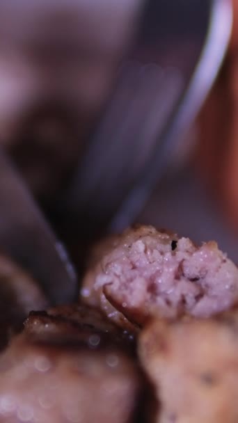 수분이 맛있는 케밥을 포크로 자르십시오 — 비디오