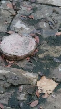 Arnavutluk 'un Butrint Ulusal Parkı' ndaki Büyük Bazilika kalıntıları. Butrint Life 'daki Triconch Sarayı tarihi ortaçağ Venedik Kulesi' nin sarayındaki tarihi bir Roma evinin ölümü. Düğme izi
