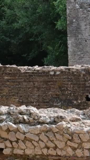 Ruins Great Basilica Butrint National Park Buthrotum Albania Triconch Palace Video Clip