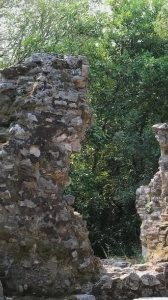 Ruiny Wielkiej Bazyliki Parku Narodowym Butrint Buthrotum Albania Pałac Triconch — Wideo stockowe
