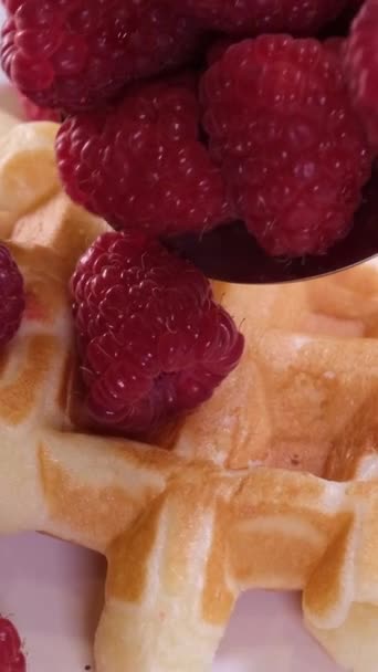 Small Tart Strawberries Cream White Plate Cafe Macro Shot High — Stock Video