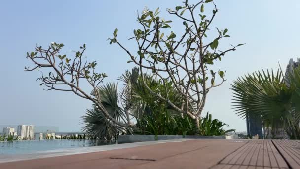 Luxury Minimalist Villa Exterior Pool Ocean View High Quality Footage — Stock Video