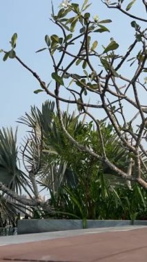 Lüks Minimalist Villa Havuz ve Okyanus manzaralı. Yüksek kalite 4k görüntü