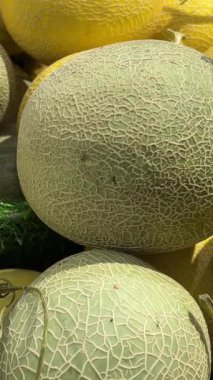 Sokak pazarının tezgahında duran kavunların yakın çekimi. Sarı Galya kavunları Pakistan pazarında, sokak yemekleri, sağlıklı ve ferahlatıcı. Güzel 4K görüntüsü. Yüksek kalite 4k 