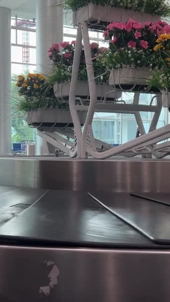 Αποσκευές Αυτοκόλλητα Στις Αποσκευές Carousel Στο Αεροδρόμιο Τουρισμός Σχετικές Loopable — Αρχείο Βίντεο
