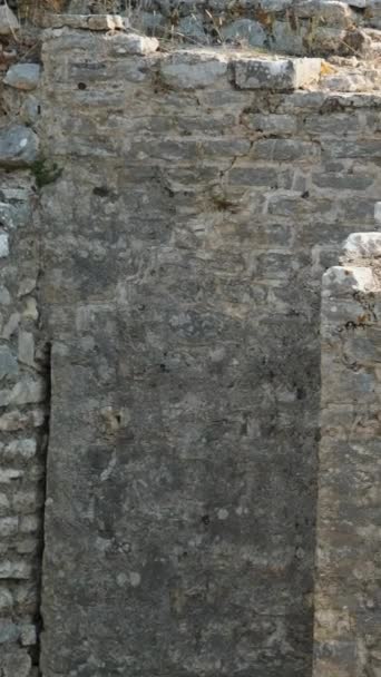 阿尔巴尼亚布特林特国家公园大教堂的废墟 布特林特的Triconch宫一座古罗马古屋的生与死中世纪威尼斯塔楼被包围 Butrint — 图库视频影像