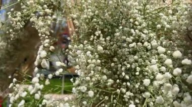 Alyssum beyaz çiçekler bir buket girdap arka planında 