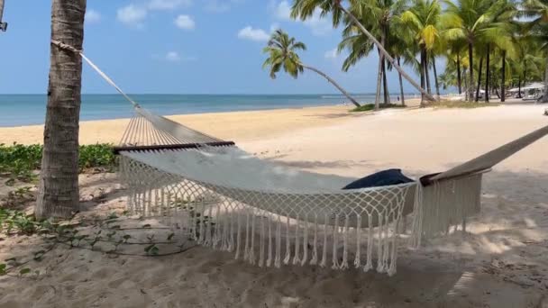 Peace Tranquility Hammock Summer Sea Beach Turquoise Water Surrounded Tropical — Stock Video