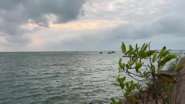 Perahu Berenang Tengah Laut Beberapa Pohon Depan Bendera Ada Perahu — Stok Video
