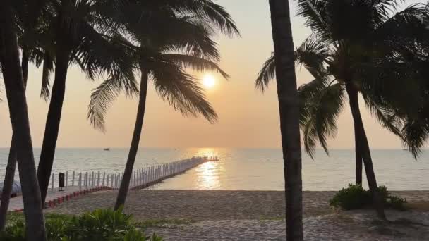 Plaje Paradisiace Din Plaja Phu Quoc Sonasea Palmieri Apus Soare — Videoclip de stoc