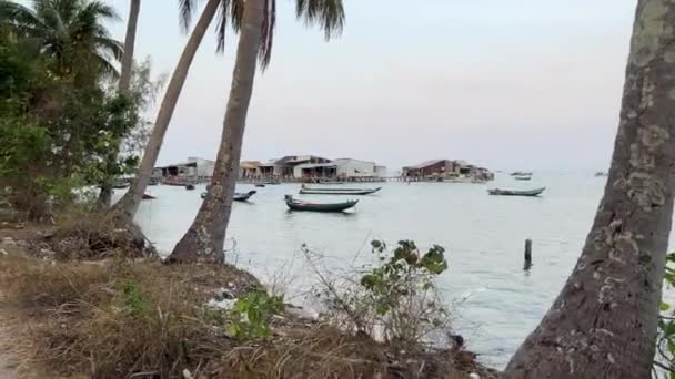 Пальмы Нетронутой Природы Мусор Выброшен Берег Лодки Вьетнам Куок Красота — стоковое видео