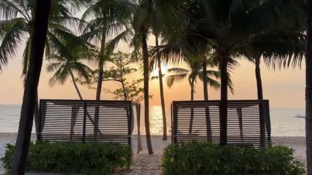 Райські Пляжі Пляжу Фукуок Сонасеа Палм Дерева Море Захід Сонця — стокове відео