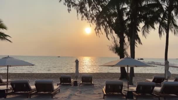 Phu Quoc Sonaseaビーチのパラダイスビーチ パームツリー 海の日没インド洋ラグジュアリー休暇ホテル近く 旅行代理店の目的地 自然の美しさ休憩のリラクゼーションの間に傾いた — ストック動画