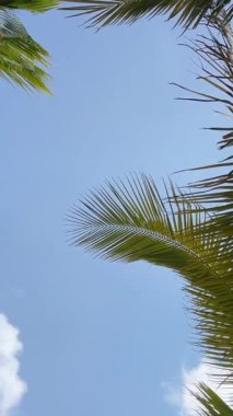 Jamaika Cennet Adası 'nda palmiye ağaçları ve turkuaz deniz olan güzel kumlu bir sahil. Yaz tatili arka planı - güneşli tropikal cennet beyaz kum plajı. Peyzaj - açık hava yazı kavramı.