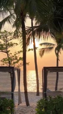 Phu Quoc Sonasea plajının cennet plajları. Palmiye ağaçları Hint Okyanusu 'nda gün batımında otellerin yakınında tatil yaparlar. Seyahat acentesi doğanın güzelliği dinlenme sırasında eğil 