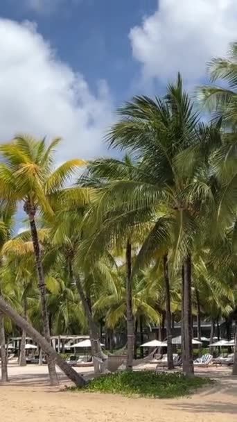 Beautiful Sandy Beach Palm Trees Turquoise Sea Jamaica Paradise Island — Stock Video