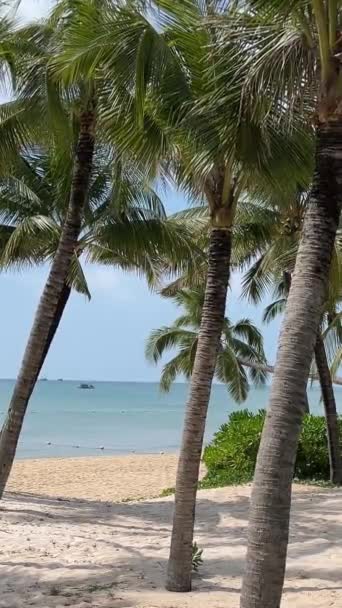 Vacker Sandstrand Med Palmer Och Turkost Hav Jamaica Paradise Island — Stockvideo
