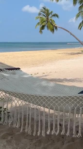 Мир Спокойствие Гамака Летнем Морском Пляже Бирюзовой Водой Окруженный Тропическими — стоковое видео