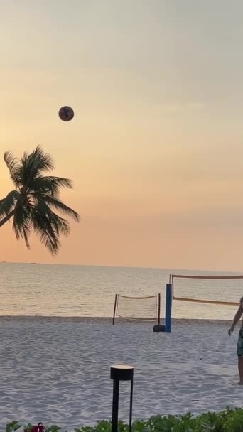 Rajské Pláže Pláži Sonasea Palmy Moře Západ Slunce Indický Oceán — Stock video