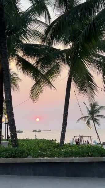 Palm Trees Παραλία Sunset Για Phu Quoc Νησί Στο Βιετνάμ — Αρχείο Βίντεο