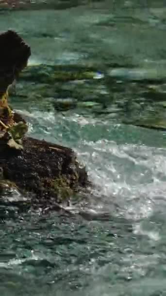 Meter Diep Het Blauwe Oog Syri Kalter Een Natuurverschijnsel Bergen — Stockvideo