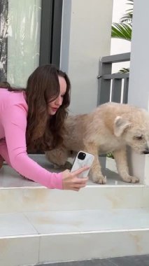 Tropik bir ülke güzel otel beyaz duvarları, Avrupalı kızı sevgili hayvanıyla tatile çıkarıyor. Genç bir kız bir köpekle selfie çektirmek istiyor. Köpek fotoğrafının çekilmesini istemiyor.. 