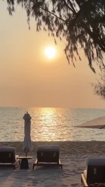 Phu Quoc Sonasea plajının cennet plajları. Palmiye ağaçları Hint Okyanusu 'nda gün batımında otellerin yakınında tatil yaparlar. Seyahat acentesi doğanın güzelliği dinlenme sırasında eğil 
