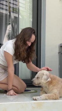 Verandada bir kız tüylü, kirli bir köpeği okşuyor. Yaşlı bir köpek metresi sever. Tropik bir ülke güzel otel duvarları Avrupalı kızı sevgili evcil hayvanıyla tatile çıkarıyor.