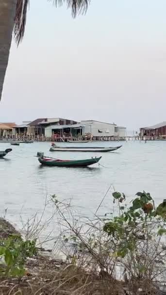 Palmiye Ağaçları Değmemiş Doğa Çöpler Kıyıya Vurmuştu Vietnam Phu Quoc — Stok video