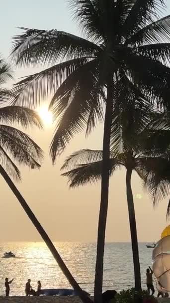 Rajskie Plaże Plaży Phu Quoc Sonasea Palmy Morze Zachód Słońca — Wideo stockowe