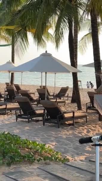 Paradise Beaches Sonasea Beach Palm Trees Sea Sunset Indian Ocean — Stock Video