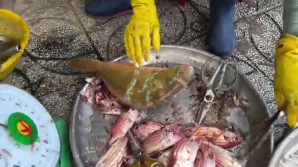 一个女人用屠刀在地上的一个圆形木板上砍下一条小鱼 特写特写 — 图库视频影像