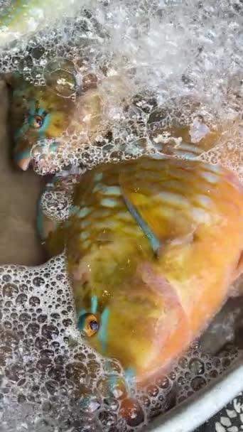 Γυναίκα Κοπής Μικρά Ψάρια Κεφάλι Μακριά Μια Στρογγυλή Ξύλινη Σανίδα — Αρχείο Βίντεο
