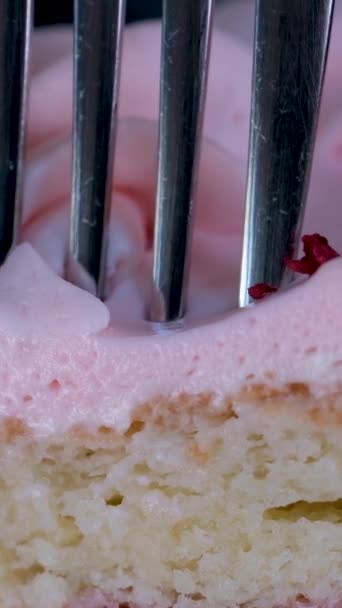 Use Metal Kitchen Spatula Separate Piece Cake Cake Red White — Stock Video