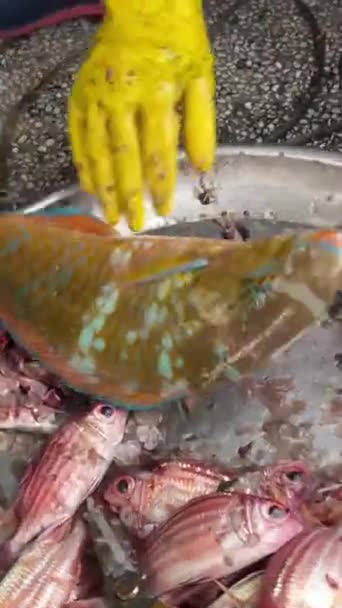 Vrouw Die Kleine Visjes Afsnijdt Met Een Slagersmes Een Rond — Stockvideo