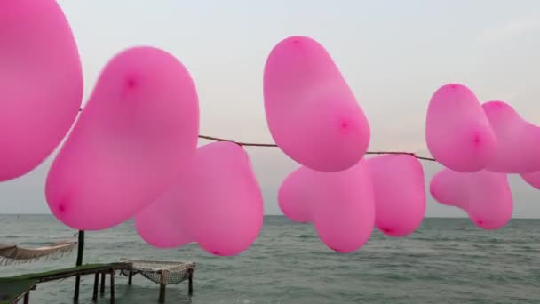 ホワイトウォールアレーのハート型バルーンクラスター 海岸の川を背景にした心臓型の風船群 — ストック動画