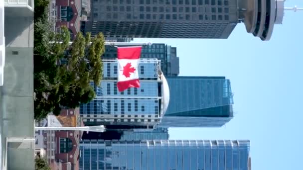 Kanada Plats Och Kommersiella Byggnader Centrum Vancouver Hamn Och Brygga — Stockvideo