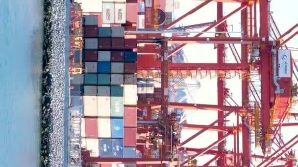Barka Skrzyń Towarowych Żurawie Wiele Różnych Pakietów Dostaw Porcie Vancouver — Wideo stockowe