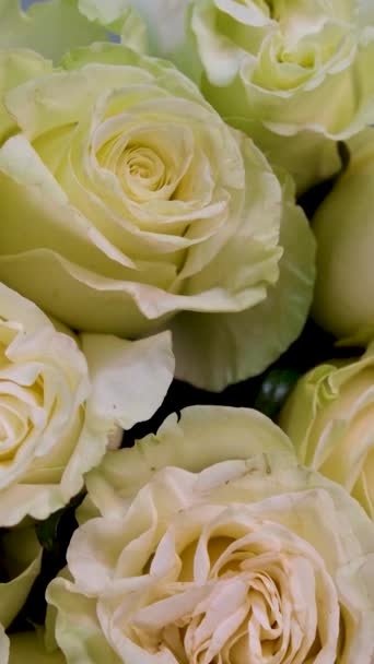 Zbliżenie Świeżych Kwiatów Bukiecie Stojącym Podłodze Piękny Świąteczny Przedmiot — Wideo stockowe