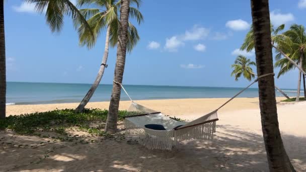 Hamaca Suspendida Playa Con Mar Tranquilo Fondo Hamaca Palma — Vídeo de stock